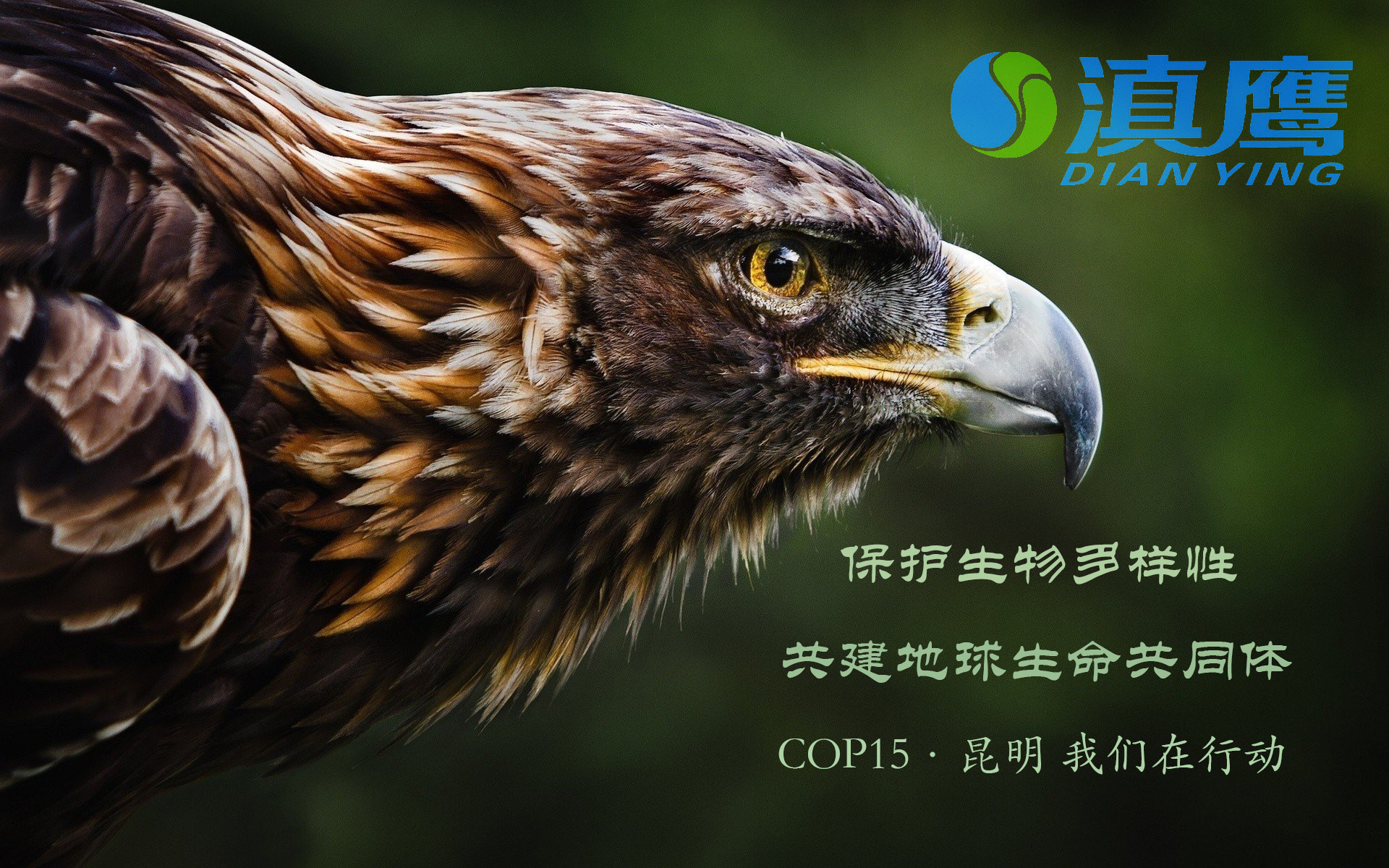 讓綠水青山永續，讓美麗持續綻放